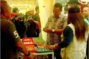 Wakil Bupati Kuningan saat meninjau pameran batu akik.