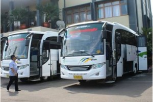 Bus yg disewa untuk study banding anggota dewan.