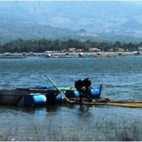 Petani jaring apung di waduk Darma.